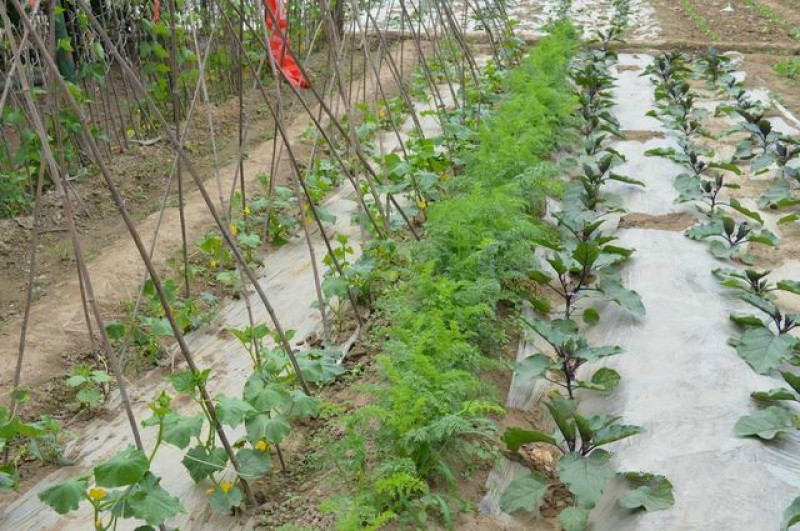 海淀區金山敬老院