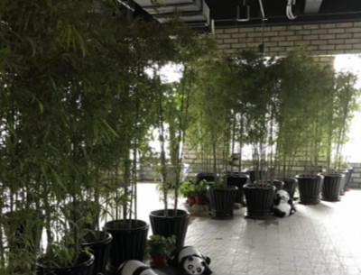 中置頤養老年公寓