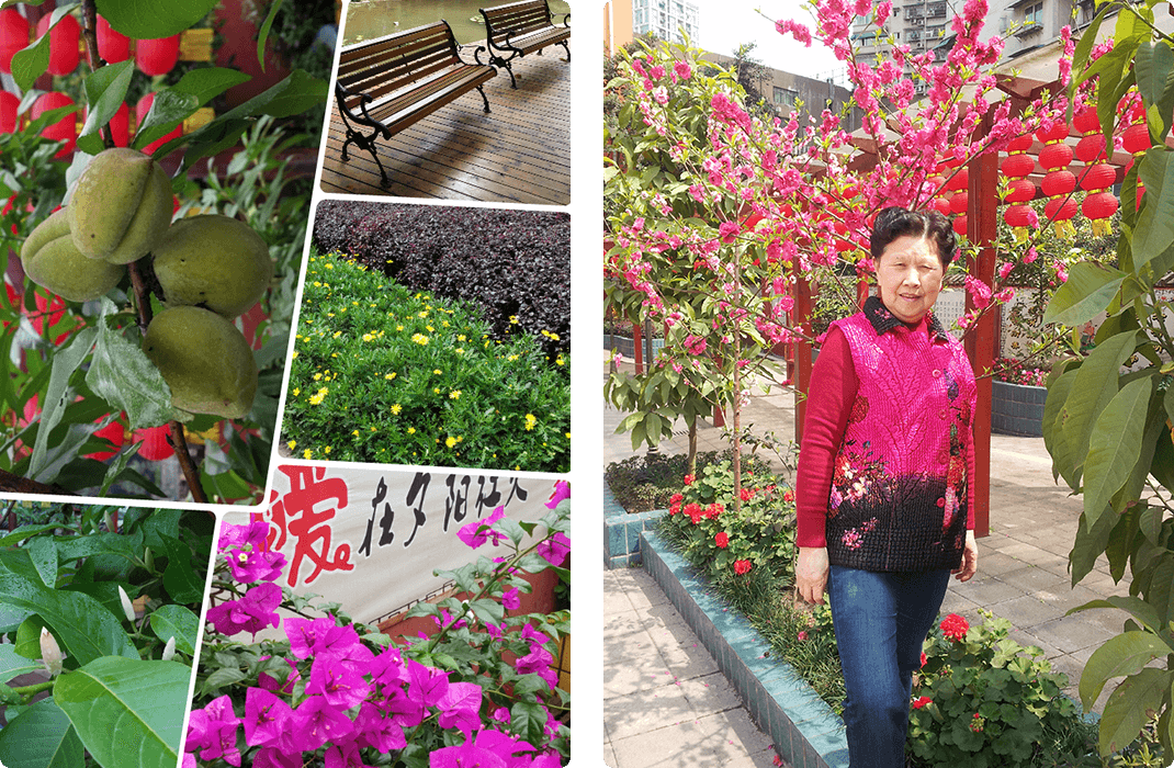 重慶市夕陽(yáng)紅火養(yǎng)老中心（夕陽(yáng)紅火樂(lè)活社區(qū)）