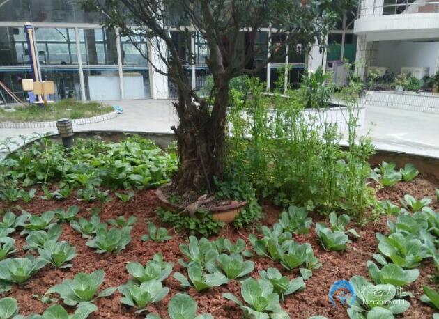 福建省廈門市思明區明珠養老院