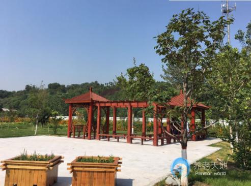 石家莊市老年養(yǎng)護院