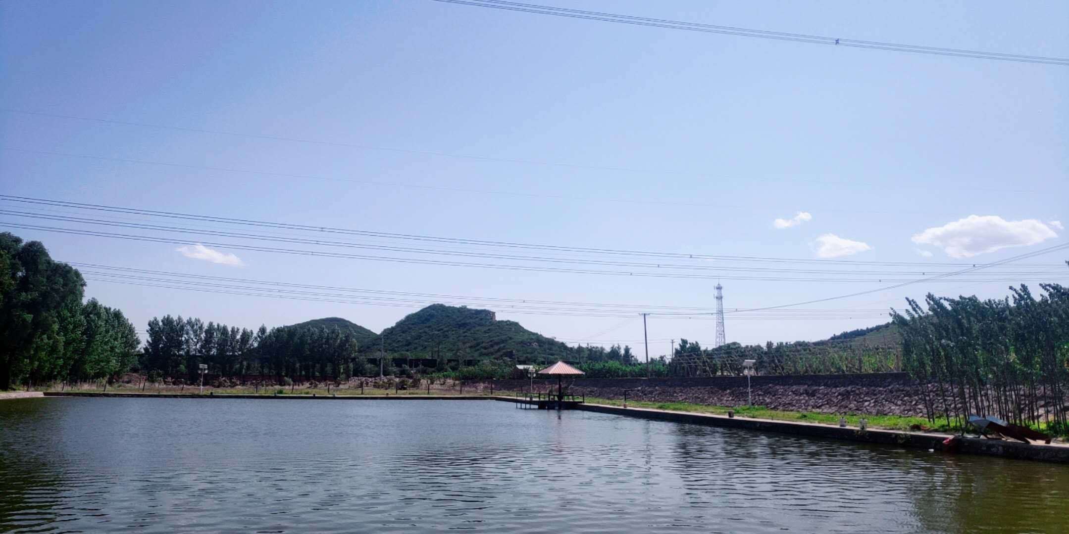 久福養老